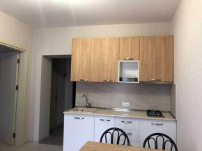 1-bedroom appartment in the centre of bakuriani 3